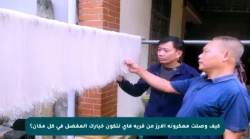 كيف وصلت معكرونة الأرز من قرية فاي لتكون خيارك المفضل في كل مكان؟